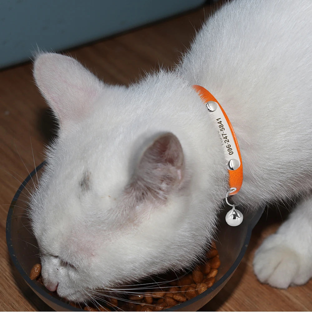 Personalized Adjustable Leather Cat Collar – Custom Name Necklace for Cats, Kittens & Puppies, Anti-Lost Pet Accessory
