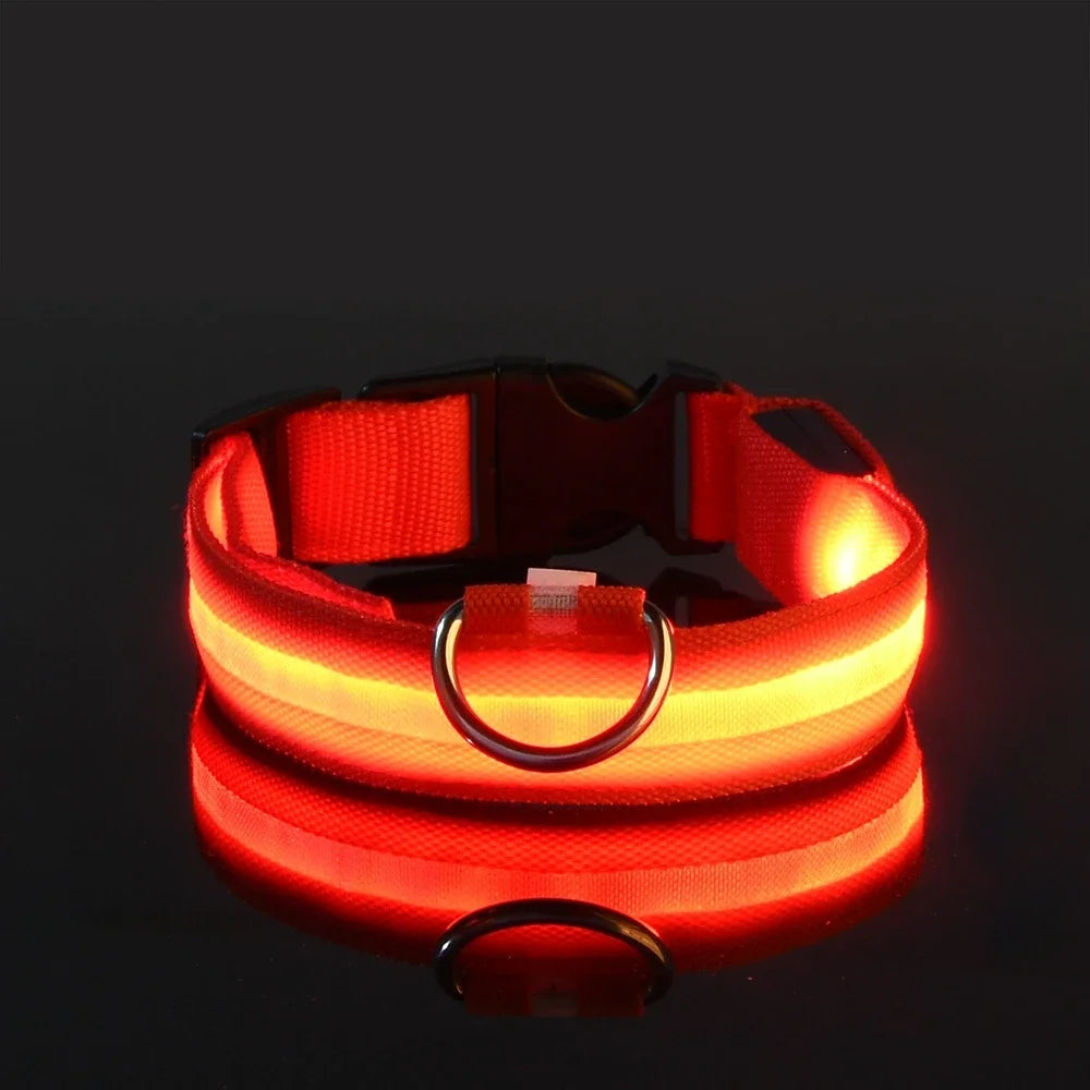 Nylon LED Dog Collar – Night Safety Flashing Glow-in-the-Dark Collar for Pets, Luminous & Fluorescent Dog Accessories
