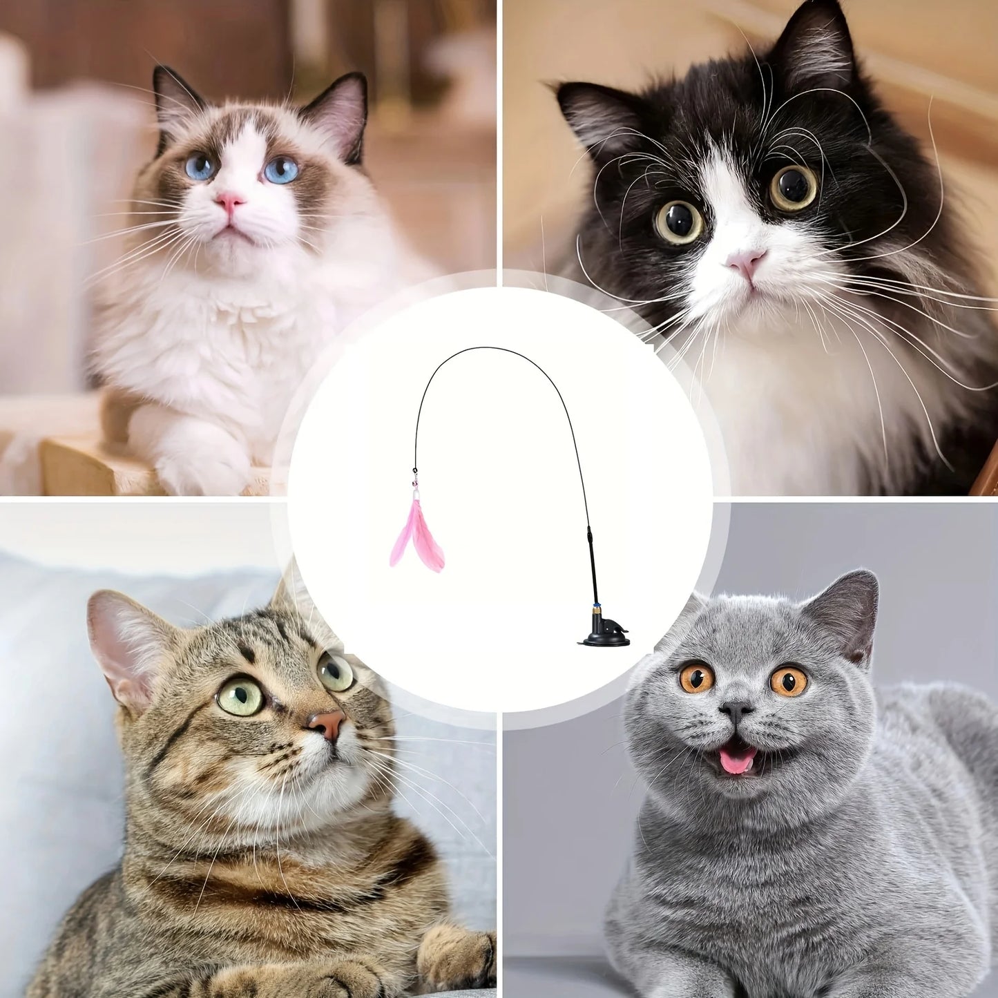 Interactive Cat Teaser Toy – Feather Wand with Bell & Long Suction Cup Pole for Endless Playtime Fun