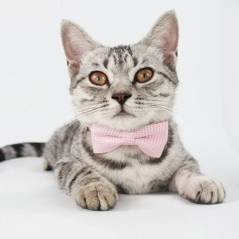 Adjustable Cute Cat Collar with Bow Tie – Stylish Necklace for Cats, Kittens & Small Dogs