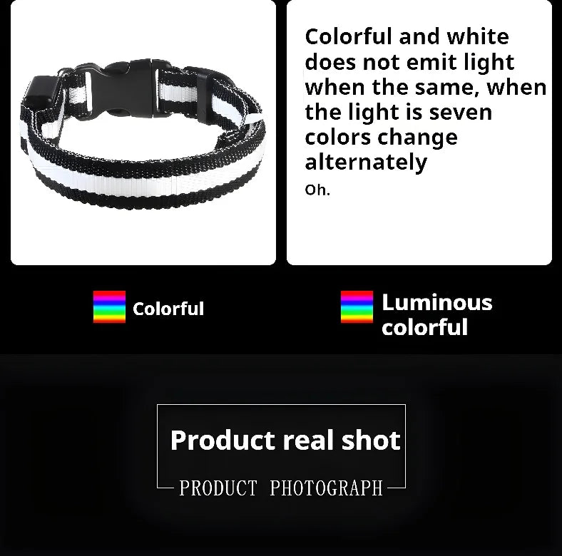 Nylon LED Dog Collar – Night Safety Flashing Glow-in-the-Dark Collar for Pets, Luminous & Fluorescent Dog Accessories
