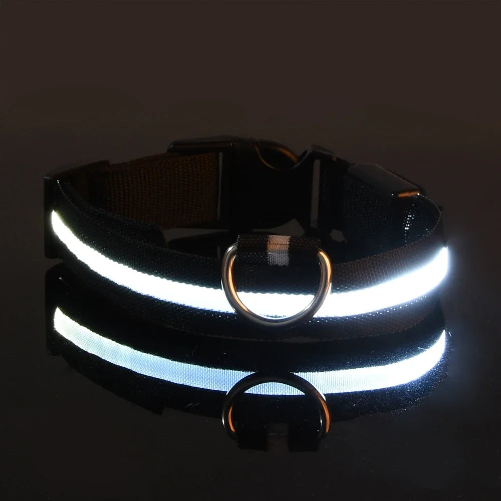Nylon LED Dog Collar – Night Safety Flashing Glow-in-the-Dark Collar for Pets, Luminous & Fluorescent Dog Accessories