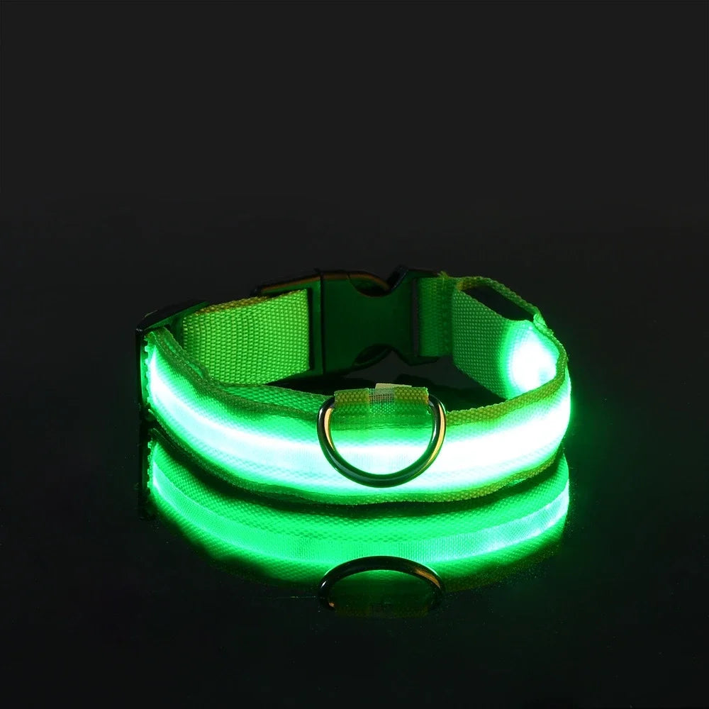 Nylon LED Dog Collar – Night Safety Flashing Glow-in-the-Dark Collar for Pets, Luminous & Fluorescent Dog Accessories