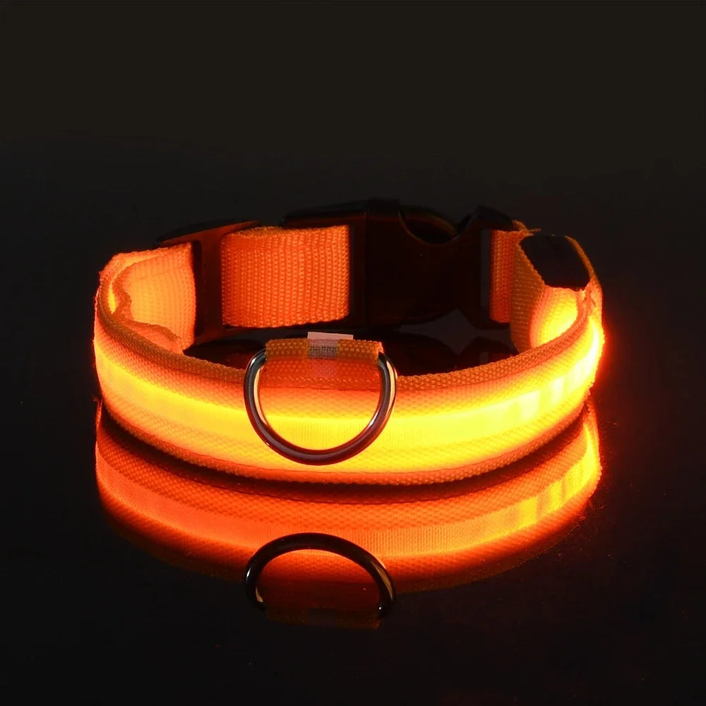 Nylon LED Dog Collar – Night Safety Flashing Glow-in-the-Dark Collar for Pets, Luminous & Fluorescent Dog Accessories