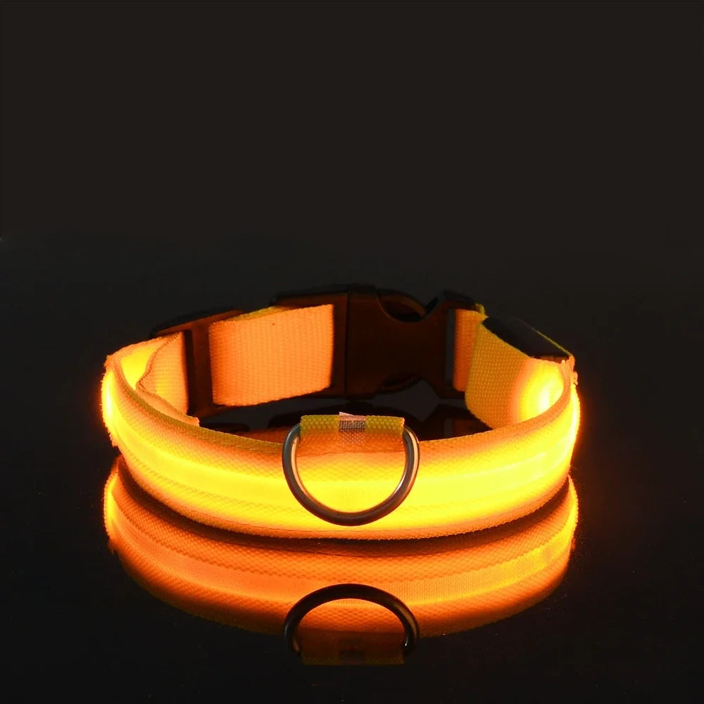 Nylon LED Dog Collar – Night Safety Flashing Glow-in-the-Dark Collar for Pets, Luminous & Fluorescent Dog Accessories