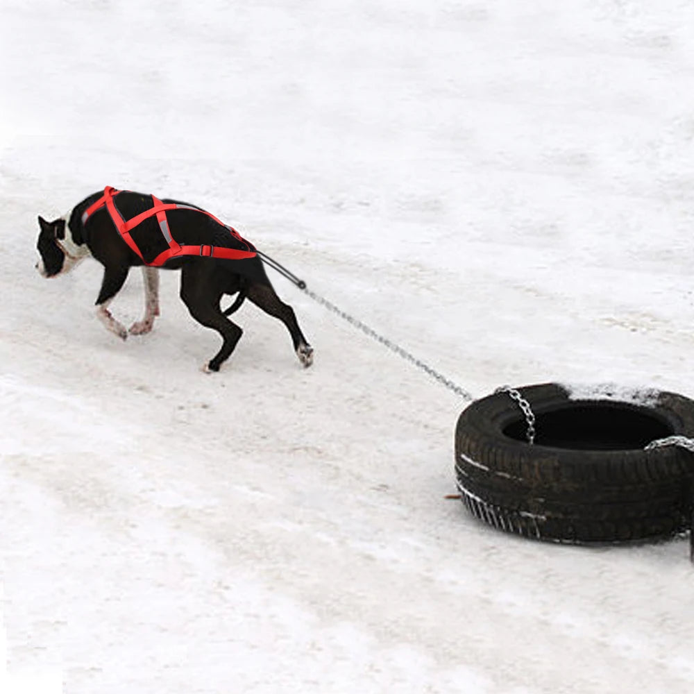 Dog Sled Harness Pet Weight Pulling Sledding Harness Mushing X Back Harness For Large Dogs Husky Canicross Skijoring Scootering