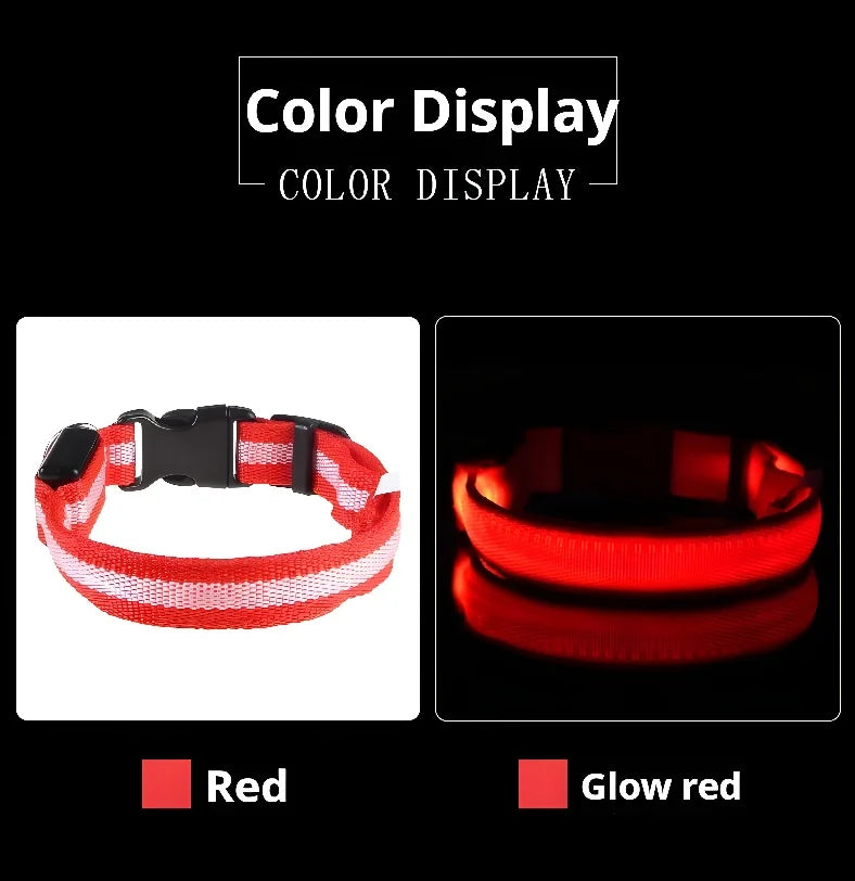 Nylon LED Dog Collar – Night Safety Flashing Glow-in-the-Dark Collar for Pets, Luminous & Fluorescent Dog Accessories