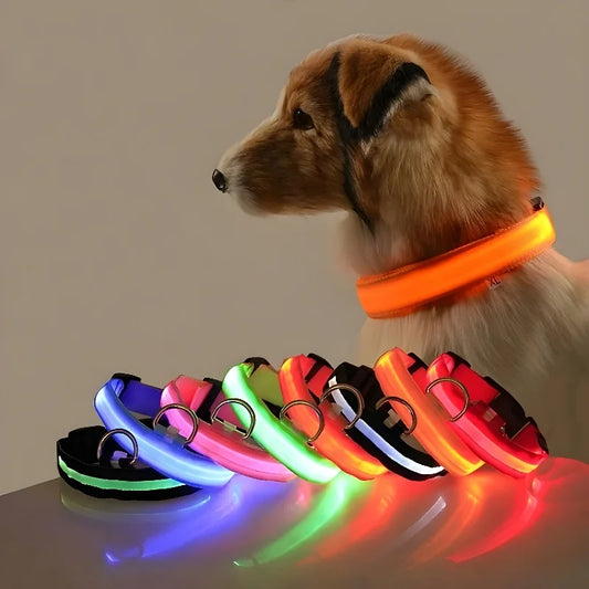 Nylon LED Dog Collar – Night Safety Flashing Glow-in-the-Dark Collar for Pets, Luminous & Fluorescent Dog Accessories