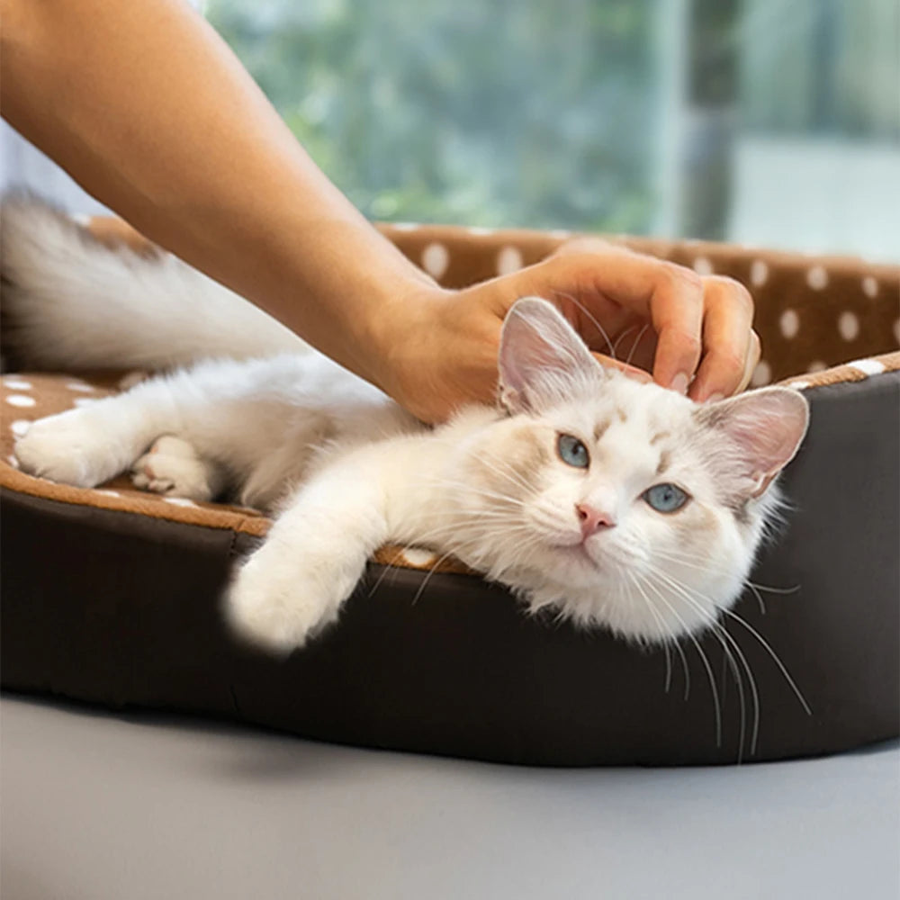 Cats Bed – Pet Furniture & Habitat Sofa for Cozy Cat Homes
